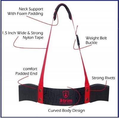 Premium Arm Blaster & Curler - Image 2