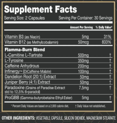 Gladiator sports Nutrition Flamma Burn - Image 2